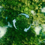 Sustentabilidade como Pilar Cultural